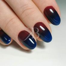 Nail art mania - Lorena Chiarentin: Effetto Gradient