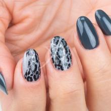 Nail art mania - Kateryna Bandrovska: Grintoso animalier